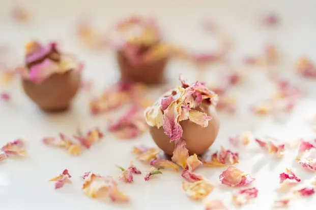 Crystal Casino Aip Android/iOS