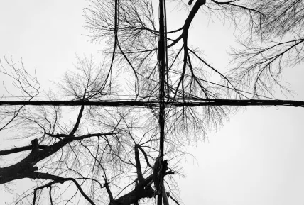 Crystal Casino Aip Soghluaiste